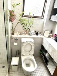 Botanic Gardens View (D10), Apartment #611203251